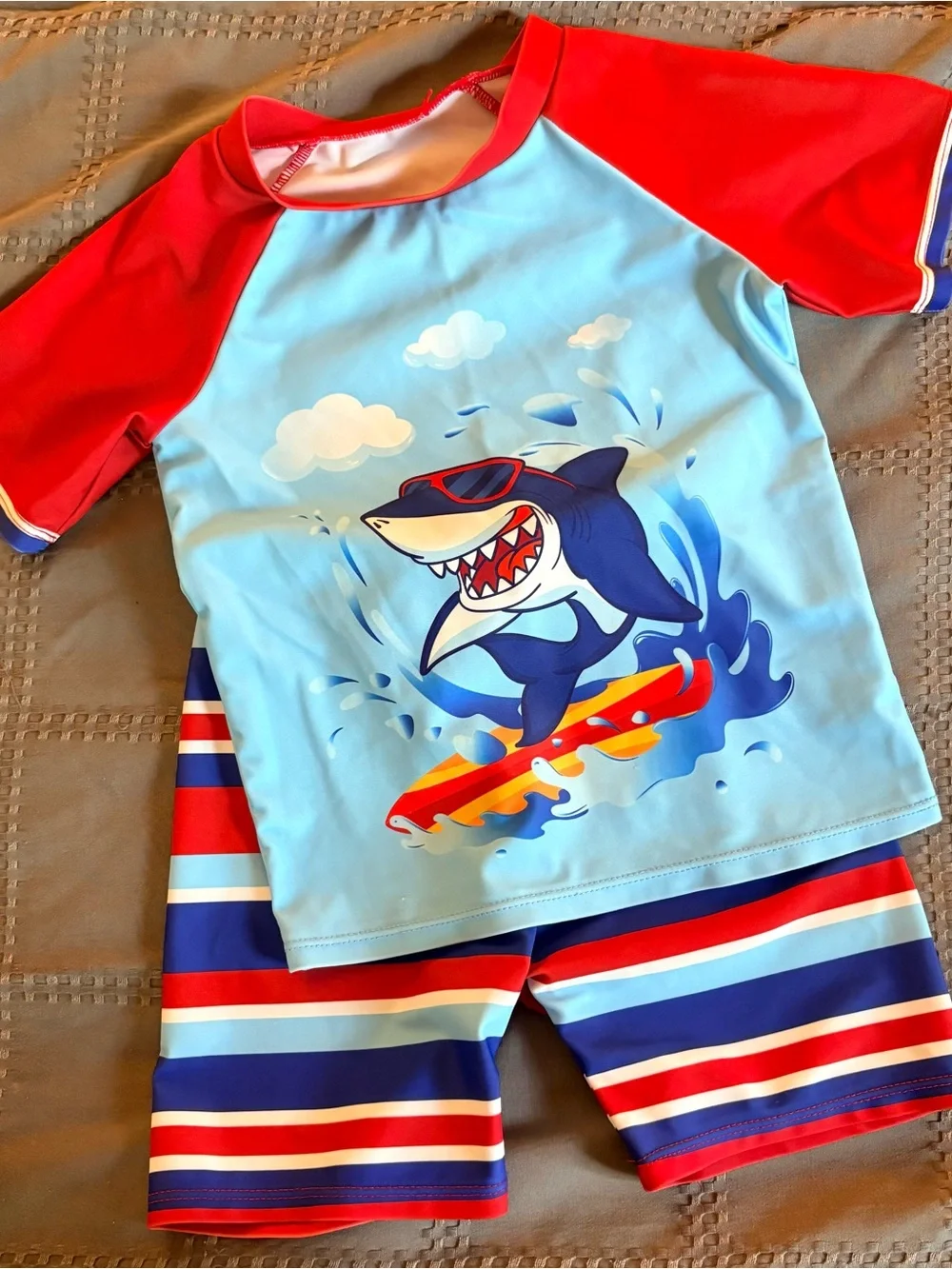 Toddler Boys 2T Swimsuit Bundle